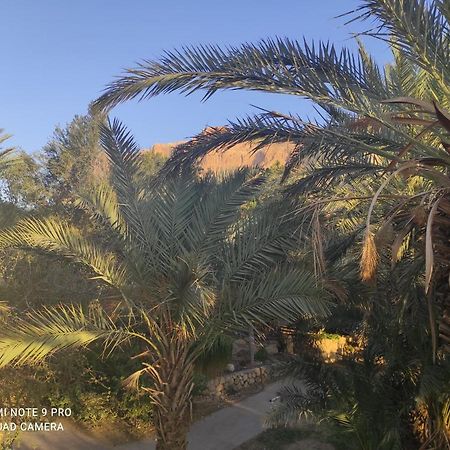 Bar Suite Ein Gedi Eksteriør billede